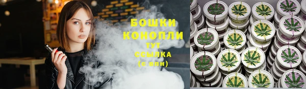 сатива Баксан